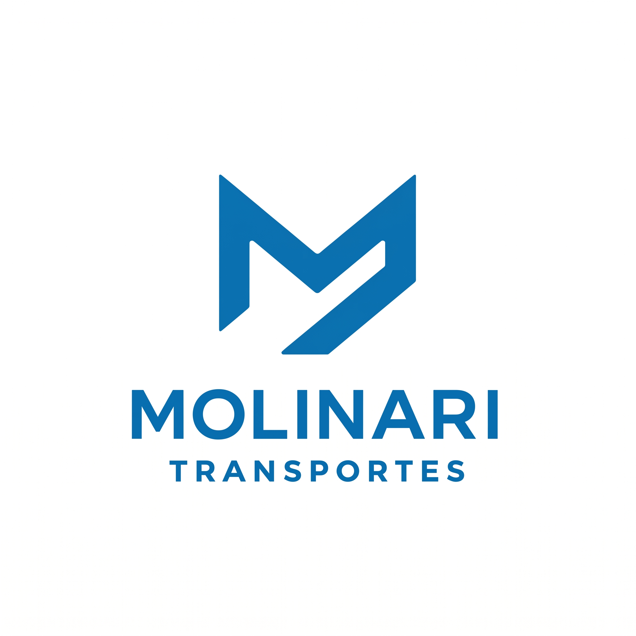 Molinari Transportes